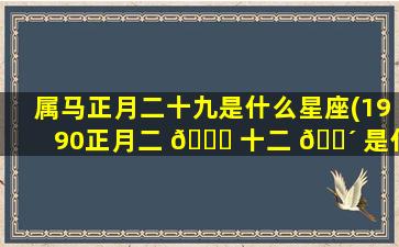 属马正月二十九是什么星座(1990正月二 🐕 十二 🐴 是什么星座的)